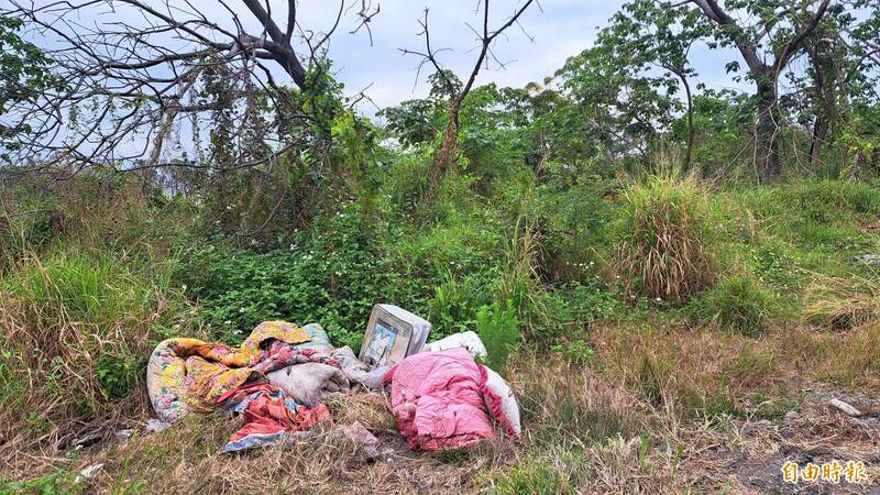 台東知本200公頃縣有地第3度推開發案 「自然碳匯」理念盼開新局