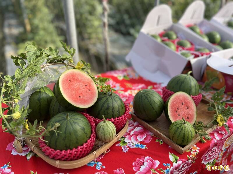 一人一顆剛剛好！ 屏東「棒球西瓜」上市
