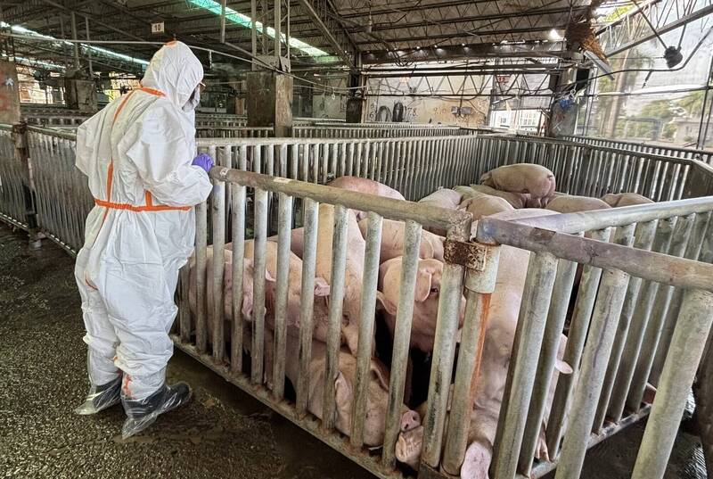 台南行銷國產豬肉 「台灣豬安心吃」12/27辦桌限量40桌