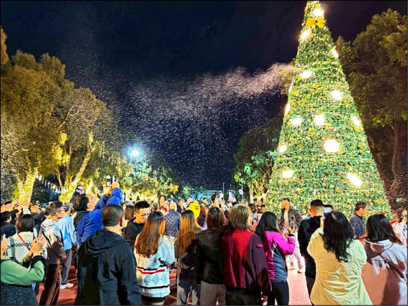 4場次演唱會 苗栗耶誕城19日登場