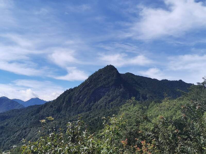 元旦攀登觀霧最高山榛山 明起開放報名