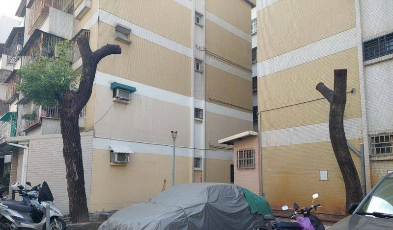 台南社區樹木被修成「一根木頭」 環境志工批太粗暴