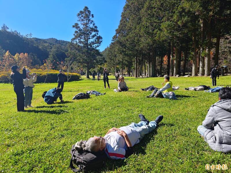 森林療癒升級山林旅遊 茶果宴、高山滿天星加值