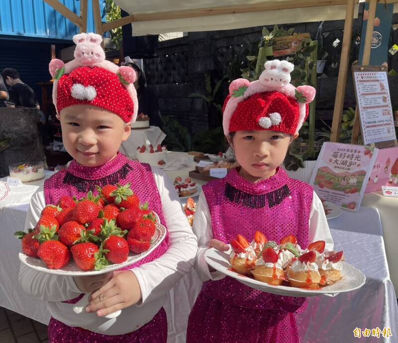 大湖草莓上市 農會邀你品嚐鮮甜滋味