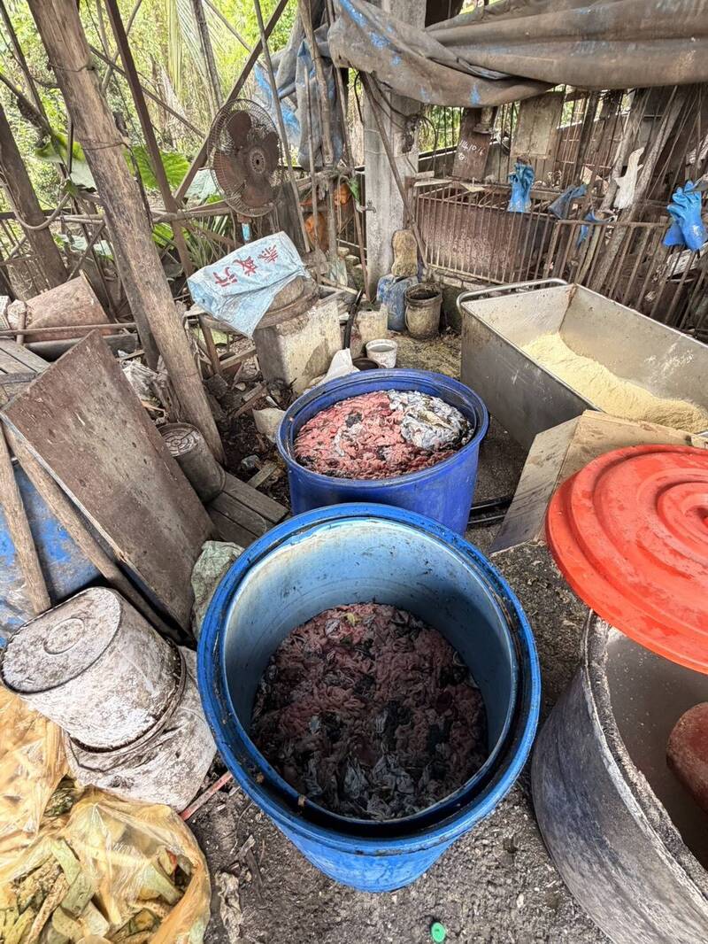 屏縣再查獲養豬場違規餵廚餘 封鎖場內豬隻裁罰80萬元