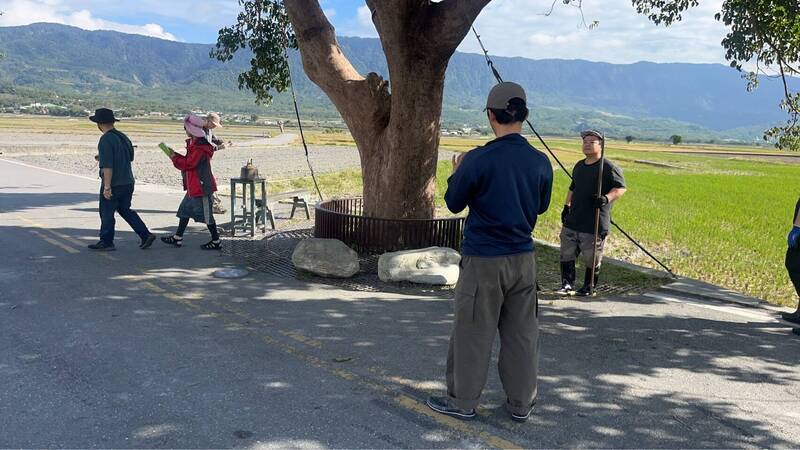 長榮航義助!金城武樹颱風後「內傷」 日本樹醫跨海救治