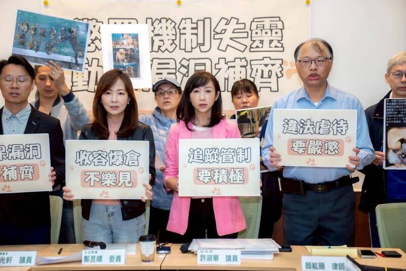 北市富陽街多貓遭虐死 許淑華籲修動保法、促北市補足動保人力