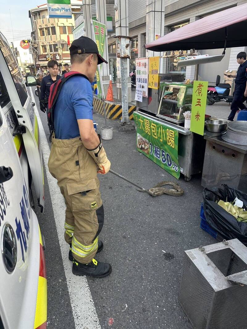 消防人員協助捉蛇。（讀者提供）