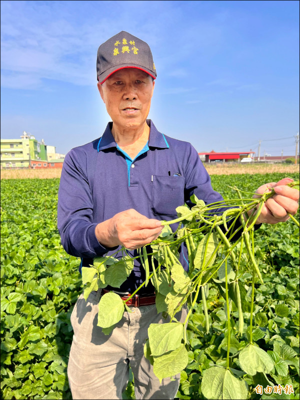 萬丹紅豆田近2千公頃 強化產銷履歷
