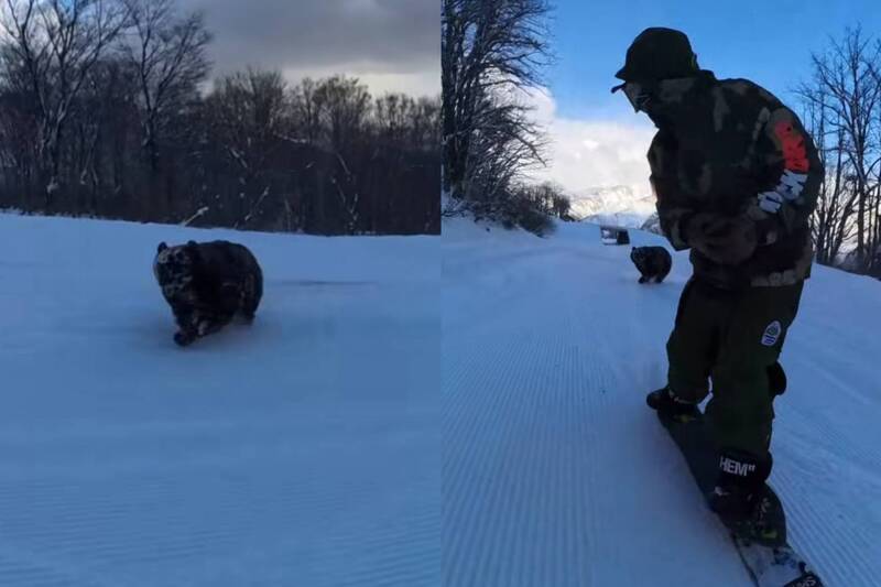 還沒冬眠？日本滑雪選手雪場遇「黑熊埋伏追擊」 驚險畫面曝
