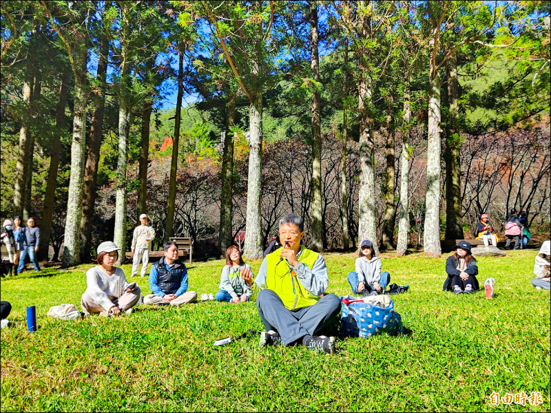 高山森林療癒之旅 身心靈深度放鬆