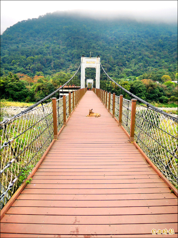 橫山公所普發5千 卻沒錢修內灣吊橋