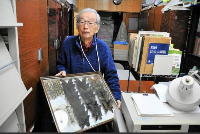 82歲日退休教授半世紀心血在日無人接收 千箱昆蟲標本在台找到家