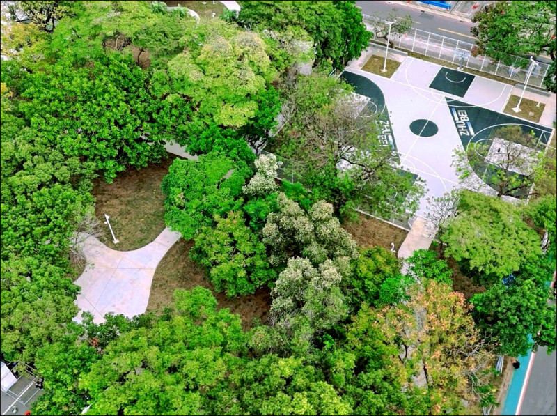 樹海環繞 竹北十字星籃球場整建重啟