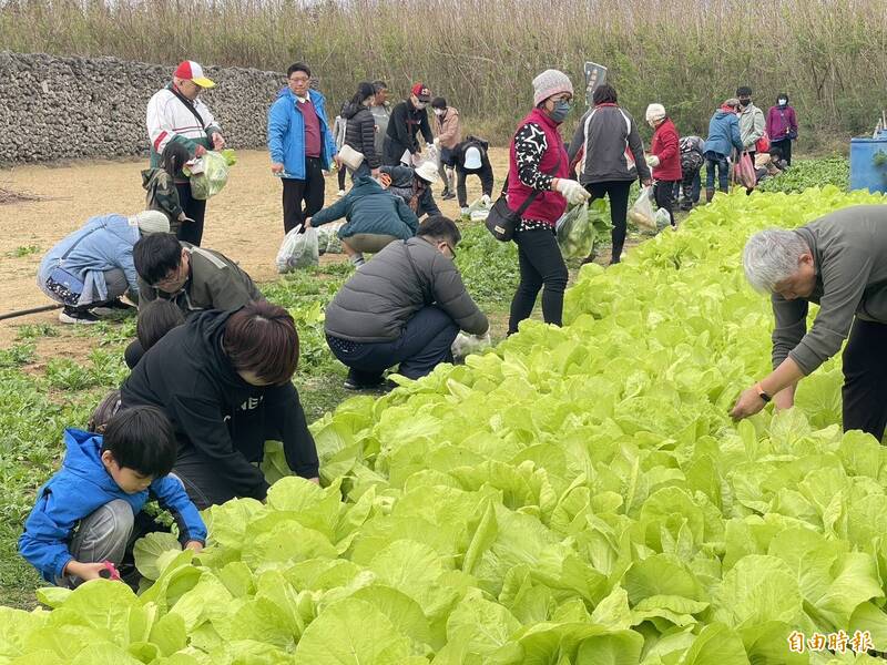 包山包海、來趣湖西 澎湖湖西山海食旅吃喝玩樂一次滿足