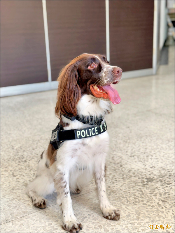 藥頭販毒埋公園 出動緝毒犬搜出