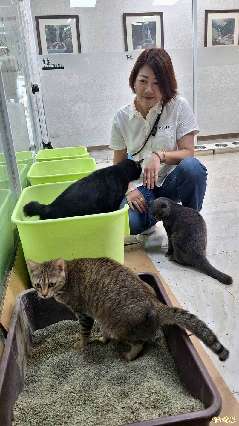 貓的報恩! 愛貓女茶農研發茶渣貓砂獲專利