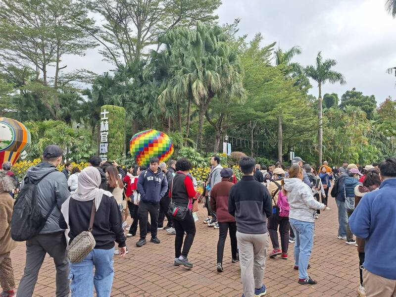 士林官邸菊展最後1天 逾3萬人爭睹花容