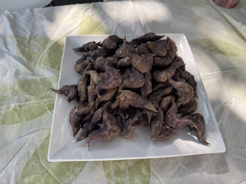 嘉義》創意雙角濃湯、香菱壽司 展現鹿草鄉冬季好滋味