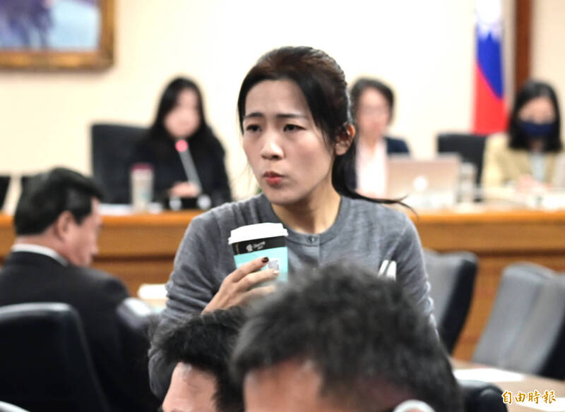 政院不副署財劃法!綠指藍白可提倒閣 徐巧芯:當我們3歲小孩?