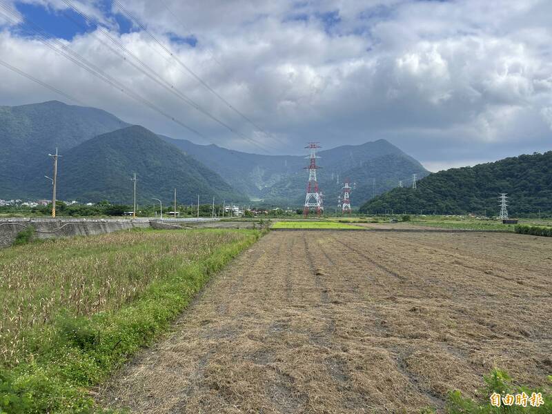 內政部:公地放領土地維持農地農用 兼顧農業永續