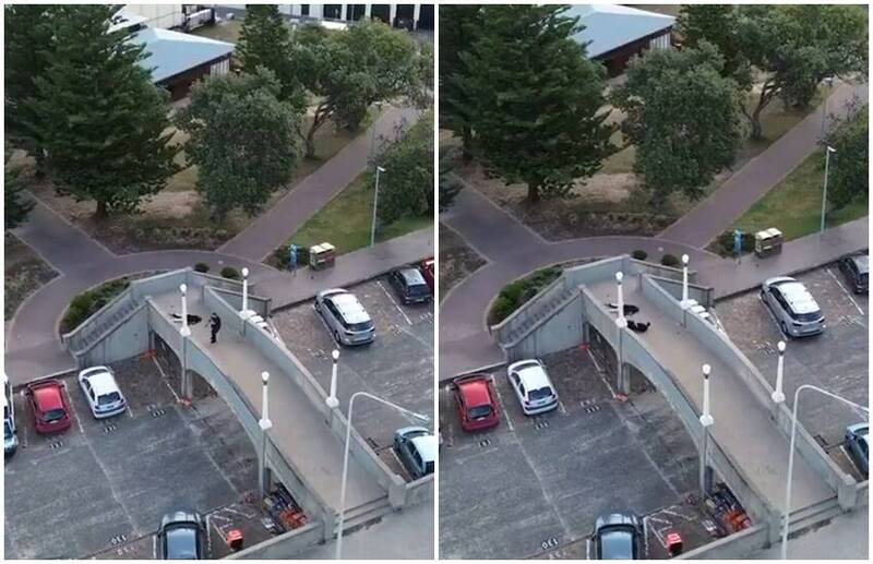 雪梨邦迪海灘大規模槍擊 無人機高清拍下槍手被警方擊斃過程!