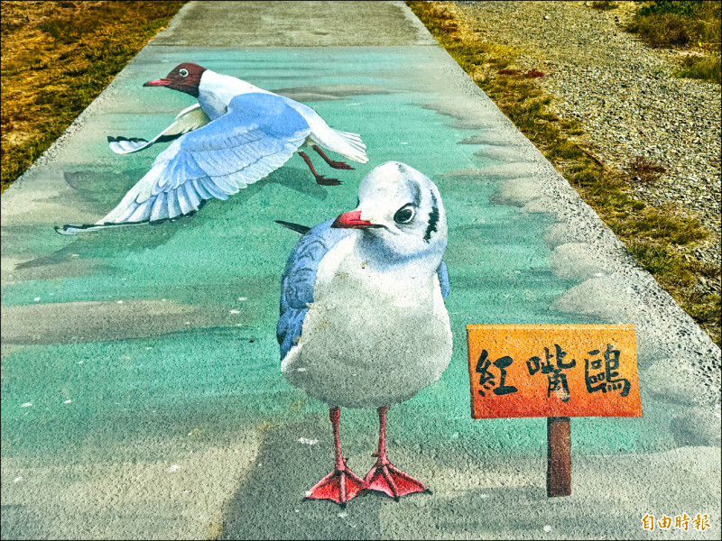 布袋濕地公園 打造科普、智能賞鳥站