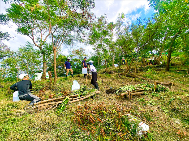 台東鯉魚山屢崩塌 民眾護坡植生復育