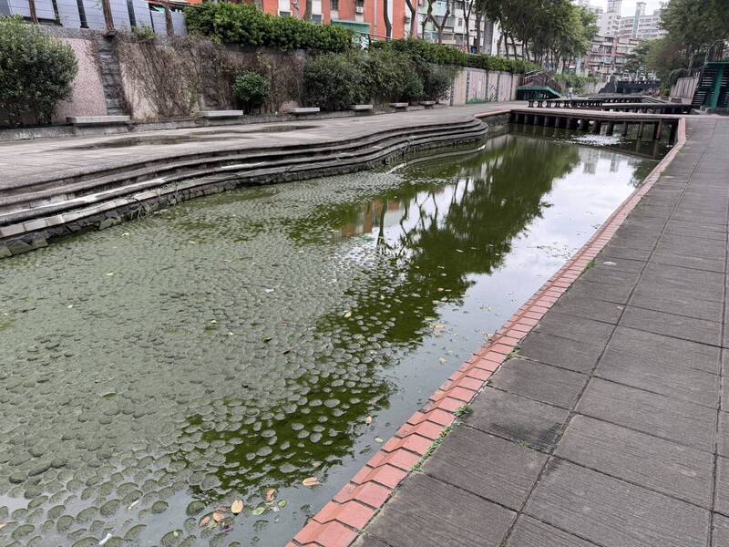 新莊中港大排「SPA級」年終清洗 1.8公里河廊煥然一新