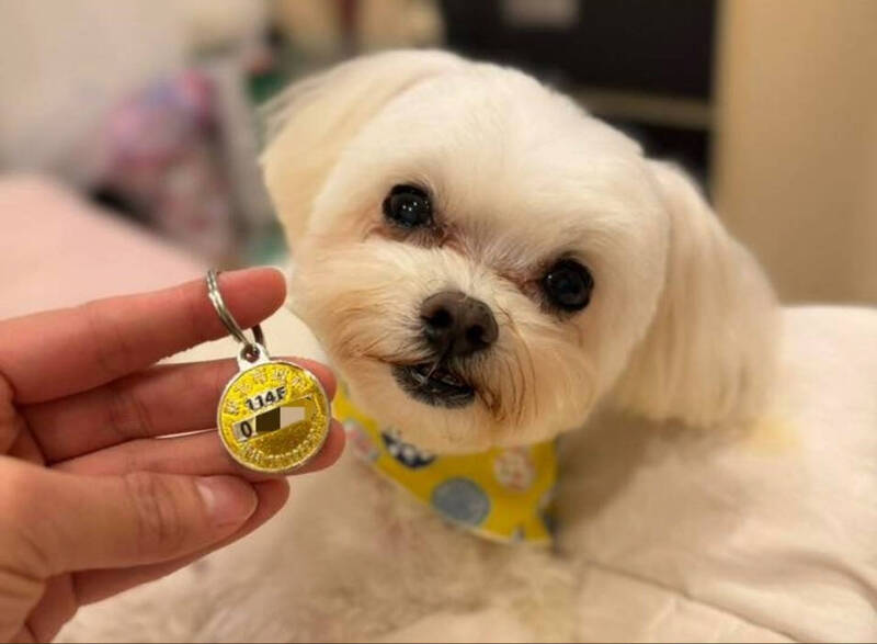 新北推毛寶貝「三好習慣」 即起打疫苗還能抽好禮