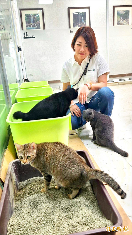 曾收養30多隻流浪貓 陳羽鉉研發茶渣貓砂獲專利