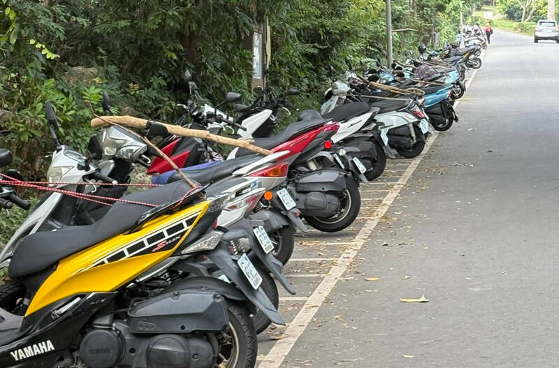 壽山整排機車「座墊卡樹枝」 在地人解答:阻止2件事!