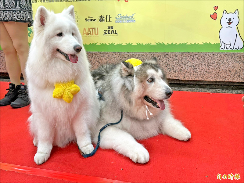 農業部首辦毛星級大賞 10大傑出寵物旅館出爐