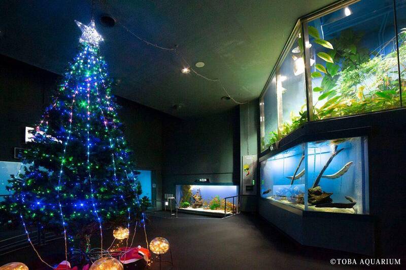 日本水族館「電鰻放電」點亮耶誕樹!網歪樓:會不會過勞