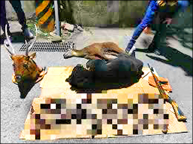 原民獵殺4隻黑熊判無罪 屏檢上訴