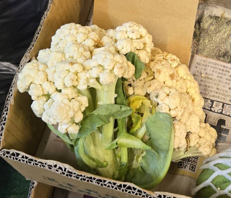 台北市抽驗生鮮蔬果農藥 錢都、松江市場違規上榜