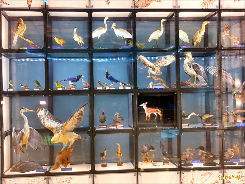 墾丁遊客中心 科技體驗生態人文之美