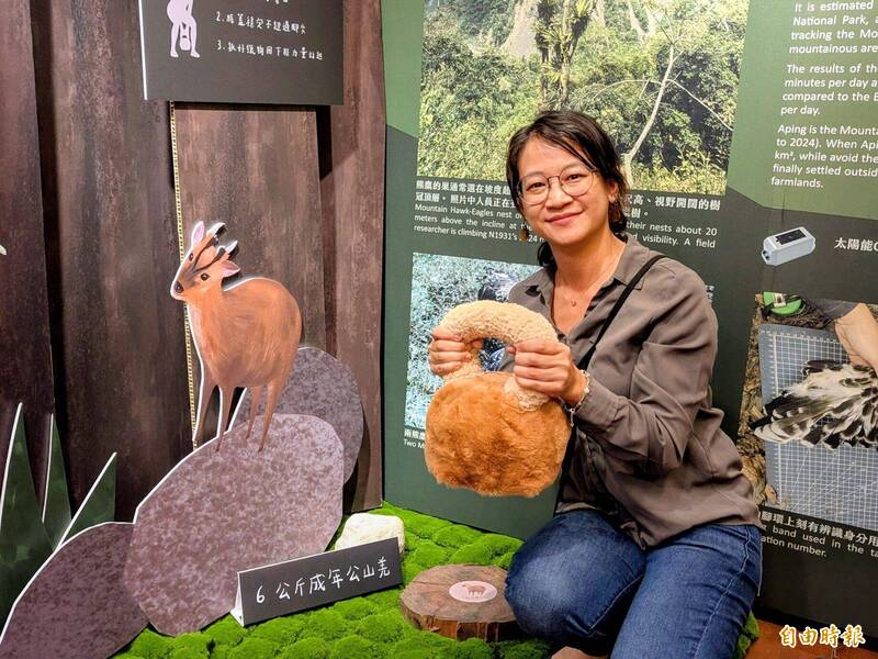 體驗「空中霸主」獵捕山羌!玉山瀕危熊鷹特展登場