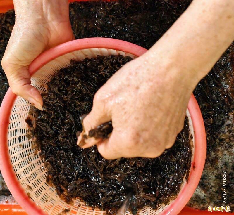 澎湖西嶼紫菜礁二採大豐收 釣客也來湊一腳爽拉原因曝