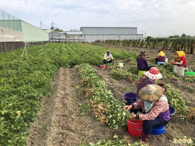 老農津貼加碼藍綠拚場 綠委:不審總預算錢哪來?