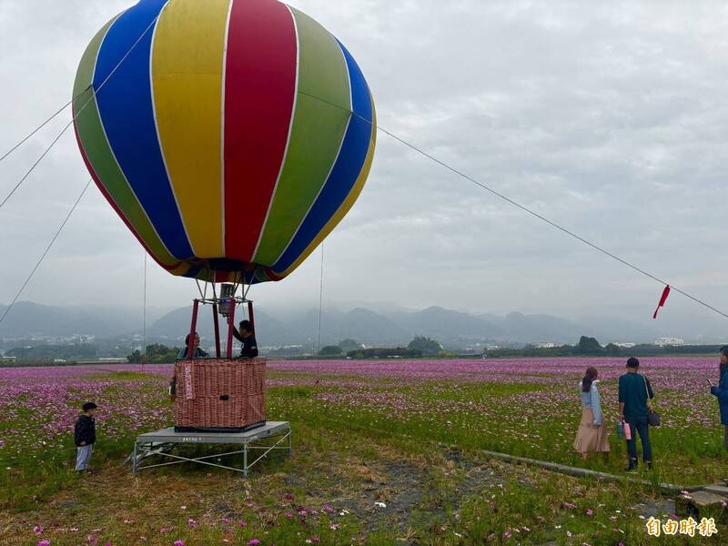 美呆了!彰化田中「望高瞭」花海登場 驚見熱氣球