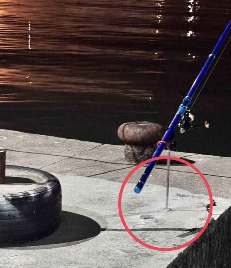 蚵子寮漁港違法垂釣還破壞碼頭 高市海洋局這樣做