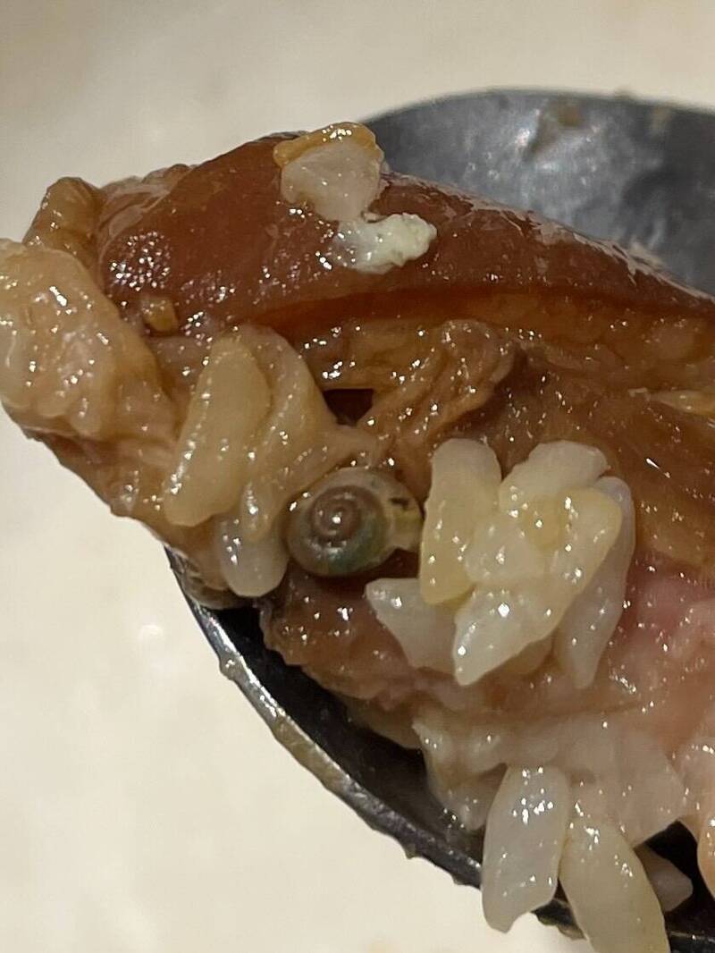 噁！米其林推薦高雄肉燥飯吃到蝸牛 衛生局要求限期改善