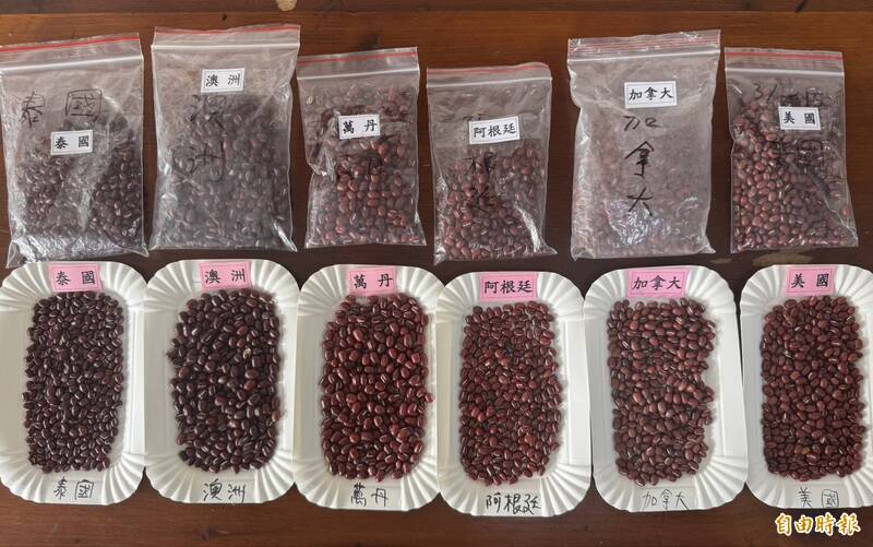 進口紅豆和本土紅豆放在一起很難分辨產地。（記者葉永騫攝）