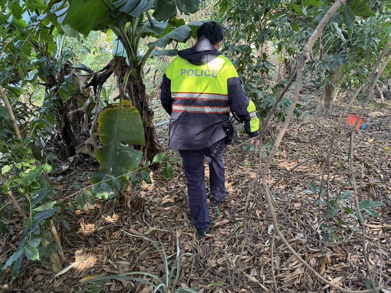 警方在荒地、果园中搜寻陈翁。（图由警方提供）