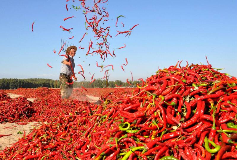 中國人怒了！小屁孩多次偷竊外送餐 吃到「變態辣」送醫竟要究責