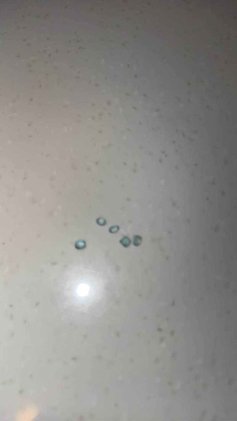 新北市國小家長投訴孩子在校時水壺被置入類似香香豆的異物。（記者翁聿煌翻攝）