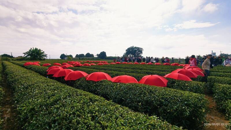 名間鄉農民和生態保護團體，用紅雨傘排字「SOS」，為生態請命。（名間鄉反焚化爐自救會提供）