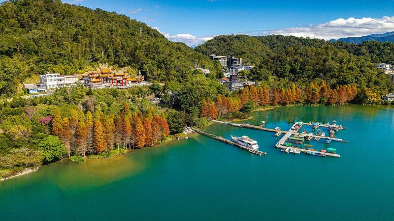 日月潭落羽松轉色大爆發，為湖光山色增添繽紛色彩。（南投縣政府提供）