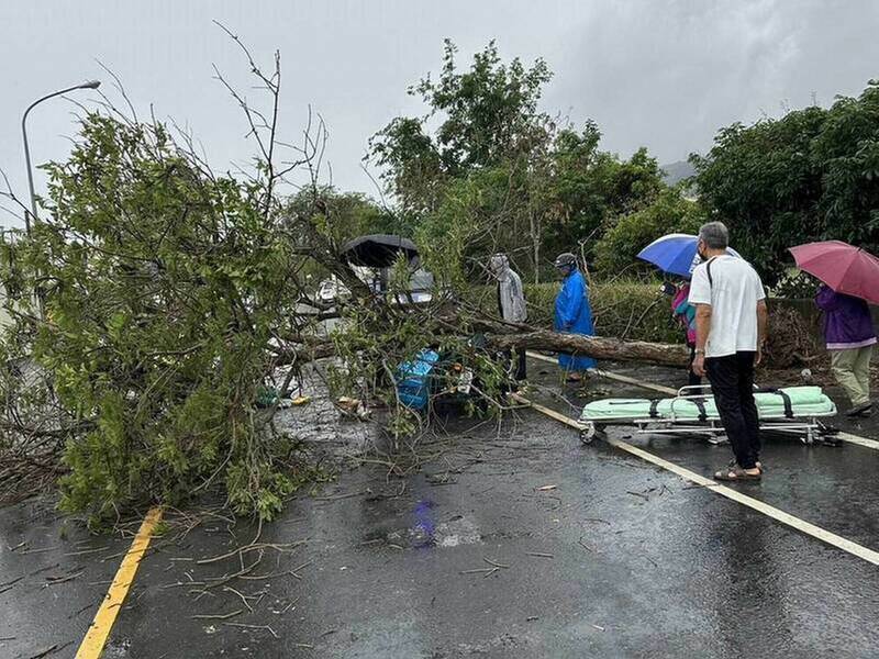 孫姓郵差遭倒塌的大樹壓住，民眾趕往搶救。（資料照）